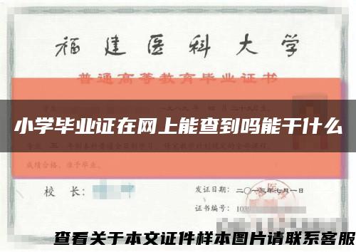 小學畢業證在網上能查到嗎能干什么縮略圖