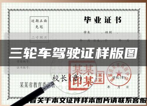 三輪車駕駛證樣版圖縮略圖