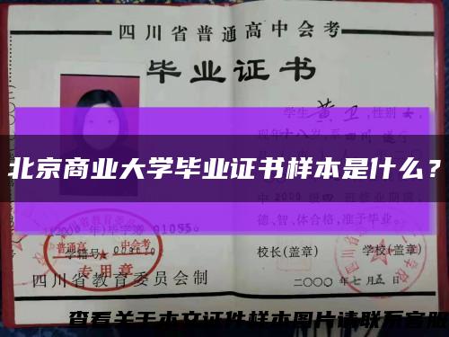 北京商業大學畢業證書樣本是什么？縮略圖