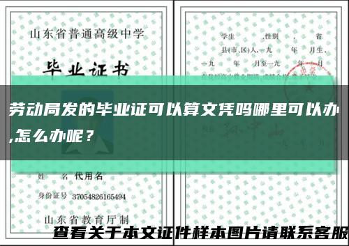 勞動局發的畢業證可以算文憑嗎哪里可以辦,怎么辦呢？縮略圖