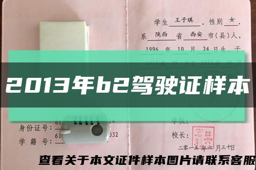 2013年b2駕駛證樣本縮略圖