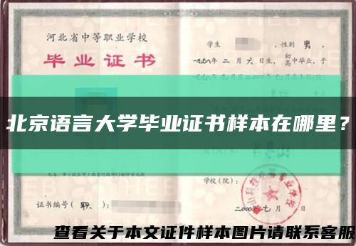 北京語言大學畢業證書樣本在哪里？縮略圖