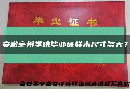 安徽亳州學院畢業證樣本尺寸多大？縮略圖
