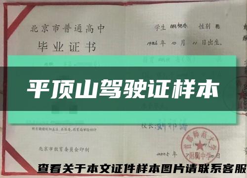 平頂山駕駛證樣本縮略圖