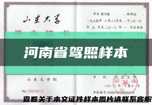 河南省駕照樣本縮略圖
