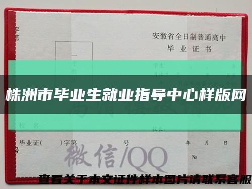 株洲市畢業生就業指導中心樣版網縮略圖