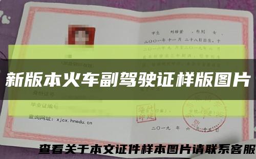 新版本火車副駕駛證樣版圖片縮略圖