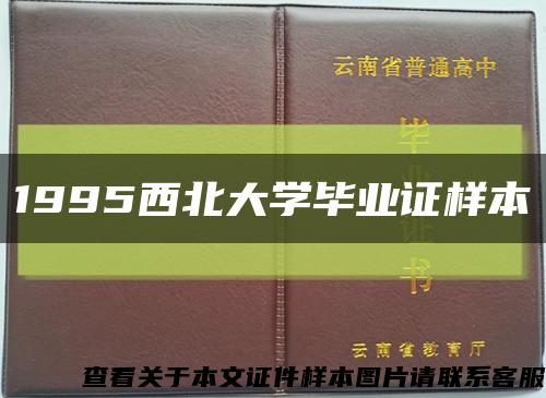 1995西北大學畢業證樣本縮略圖