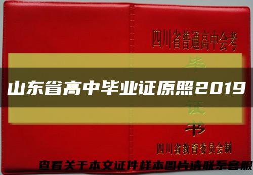 山東省高中畢業證原照2019縮略圖