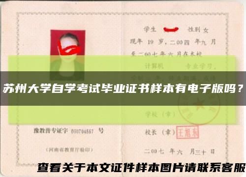蘇州大學自學考試畢業證書樣本有電子版嗎？縮略圖