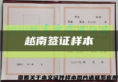 越南簽證樣本縮略圖