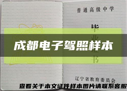 成都電子駕照樣本縮略圖