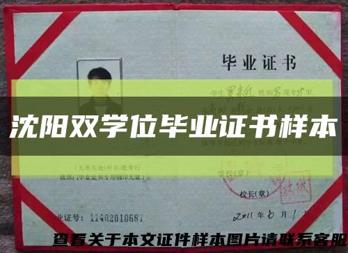 沈陽雙學位畢業證書樣本縮略圖