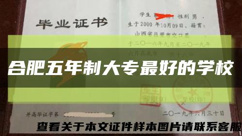 合肥五年制大專最好的學?？s略圖