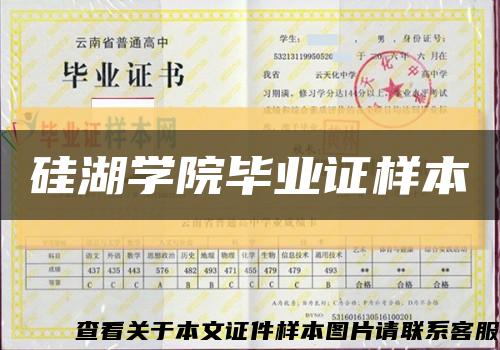 硅湖學院畢業證樣本縮略圖