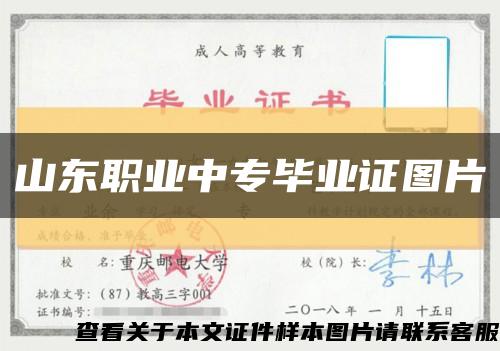 山東職業中專畢業證圖片縮略圖