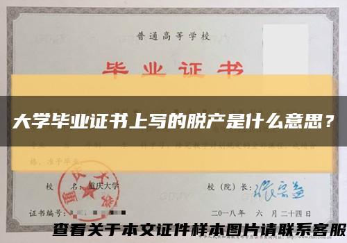 大學畢業證書上寫的脫產是什么意思？縮略圖