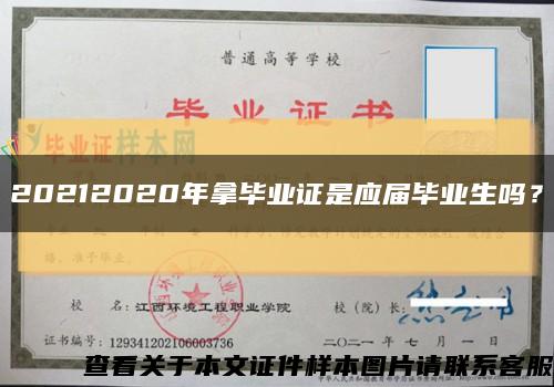 20212020年拿畢業證是應屆畢業生嗎？縮略圖
