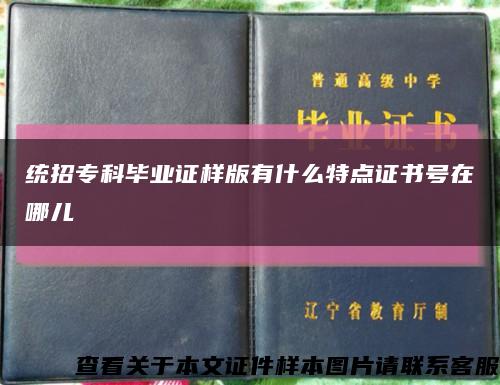 統招?？飘厴I證樣版有什么特點證書號在哪兒縮略圖