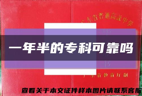一年半的?？瓶煽繂峥s略圖