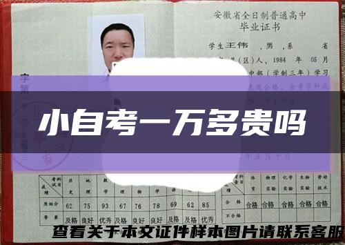 小自考一萬多貴嗎縮略圖