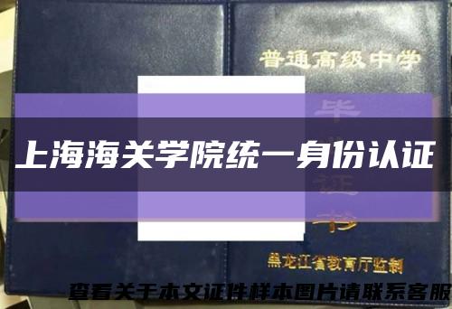 上海海關學院統一身份認證縮略圖