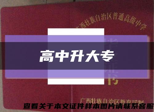 高中升大?？s略圖