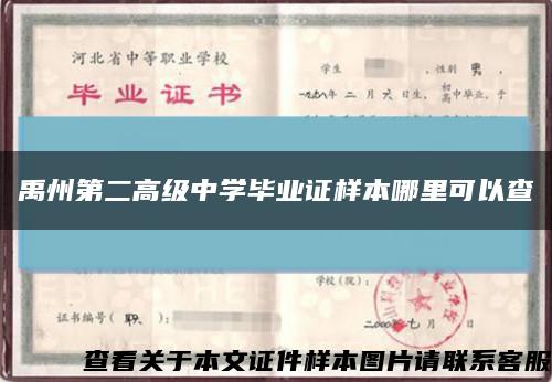 禹州第二高級中學畢業證樣本哪里可以查縮略圖
