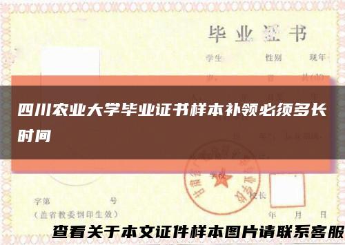 四川農業大學畢業證書樣本補領必須多長時間縮略圖