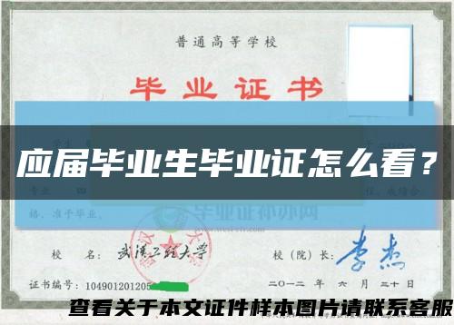 應屆畢業生畢業證怎么看？縮略圖