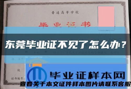 東莞畢業證不見了怎么辦？縮略圖