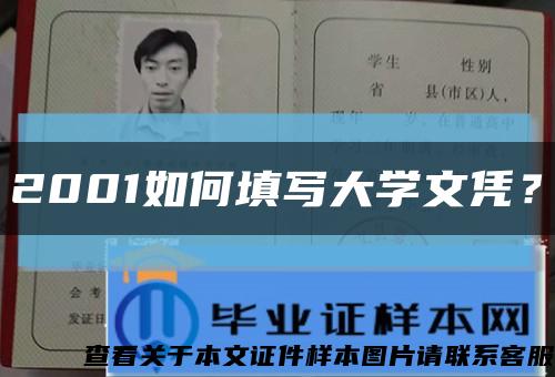 2001如何填寫大學文憑？縮略圖