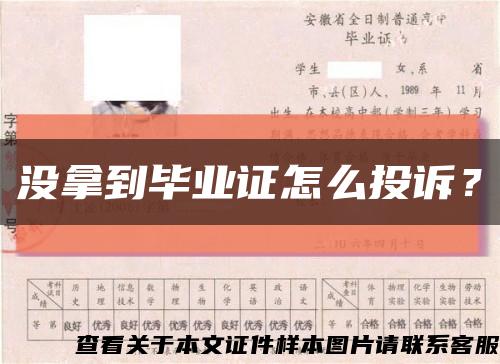 沒拿到畢業證怎么投訴？縮略圖