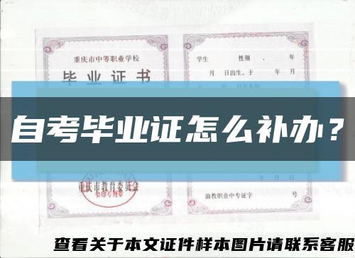 自考畢業證怎么補辦？縮略圖