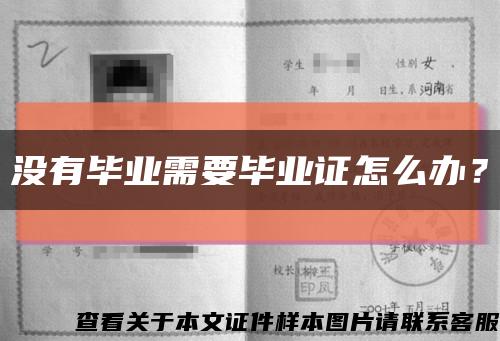 沒有畢業需要畢業證怎么辦？縮略圖