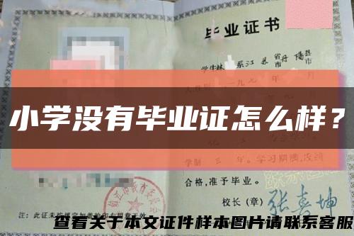 小學沒有畢業證怎么樣？縮略圖