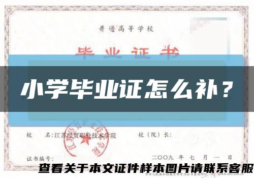 小學畢業證怎么補？縮略圖
