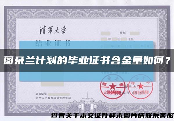 圖朵蘭計劃的畢業證書含金量如何？縮略圖