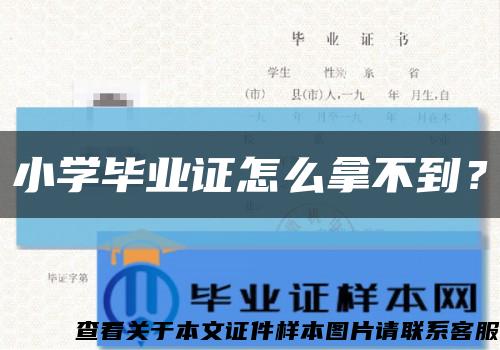 小學畢業證怎么拿不到？縮略圖