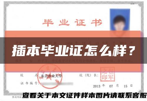 插本畢業證怎么樣？縮略圖