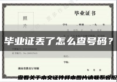 畢業證丟了怎么查號碼？縮略圖