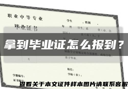 拿到畢業證怎么報到？縮略圖