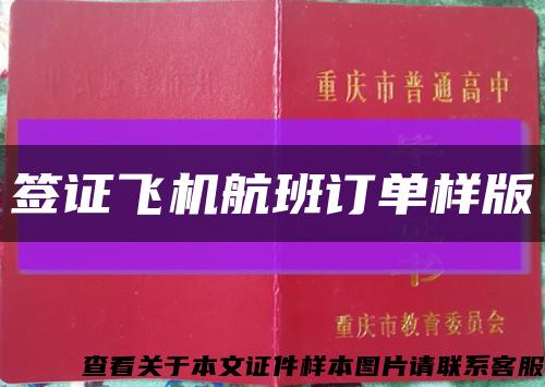 簽證飛機航班訂單樣版縮略圖