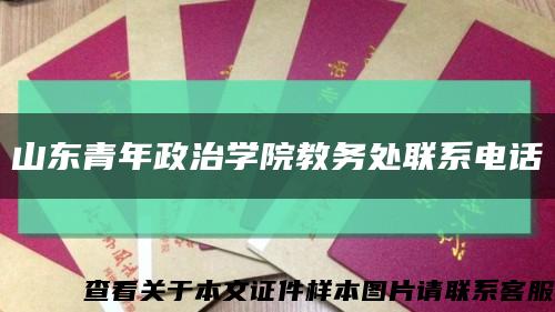 山東青年政治學院教務處聯系電話縮略圖