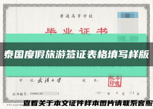 泰國度假旅游簽證表格填寫樣版縮略圖