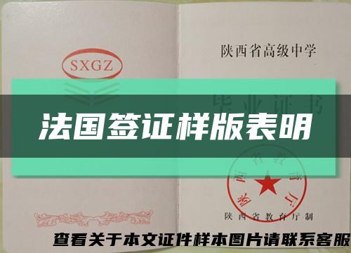 法國簽證樣版表明縮略圖