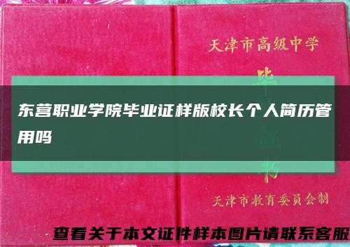 東營職業學院畢業證樣版校長個人簡歷管用嗎縮略圖
