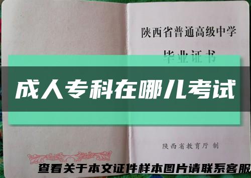 成人?？圃谀膬嚎荚嚳s略圖