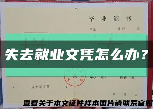 失去就業文憑怎么辦？縮略圖