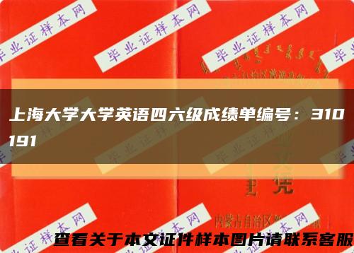 上海大學大學英語四六級成績單編號：310191縮略圖